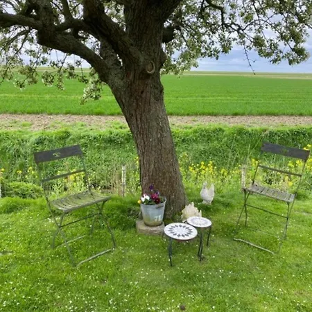 Panzió Aan De Schenkel