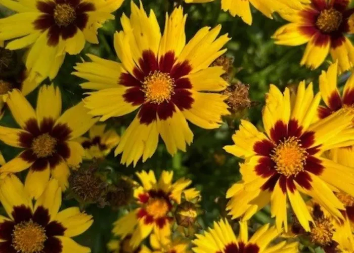 Aan De Schenkel Bed & Breakfast Zuid-Beijerland