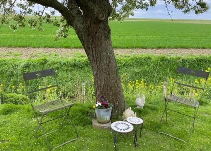 Bed & Breakfast Aan De Schenkel