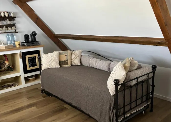 Aan De Schenkel Отель типа 